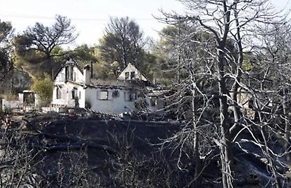 Φωτιά στη βορειοανατολική Αττική: Σε 30 με 60 ημέρες το πόρισμα - Τι δείχνει η πρώτη αυτοψία