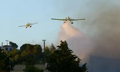 Πυροσβεστική: 49 πυρκαγιές το τελευταίο 24ωρο σε όλη τη χώρα