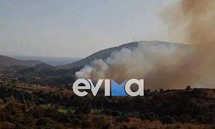 Φωτιά σε δασική έκταση στη νότια Εύβοια