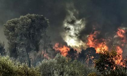 Δύο προσαγωγές για τη φωτιά στο Λιτόχωρο - Υπό μερικό έλεγχο το μέτωπο