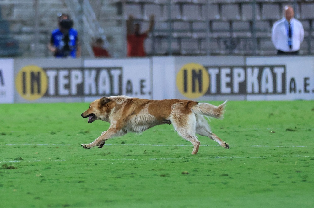 Stoiximan Super League: Τα θετικά και τα αρνητικά της πρεμιέρας