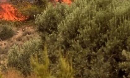 Συνελήφθησαν 2 Ιταλοί για φωτιά σε παραλία στους Αντίπαξους