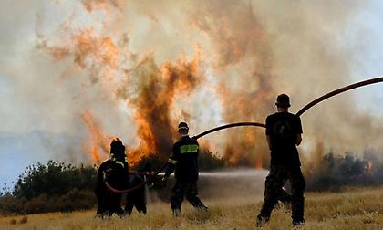 Φωτιά τώρα σε δασική έκταση στη Θεσπρωτία