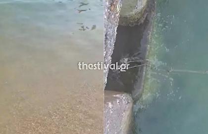 Χαλκιδική: Προσωρινή απαγόρευση κολύμβησης στην παραλία Ιερισσού - Έπεσαν λύματα στη θάλασσα