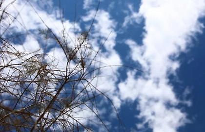 Καιρός: Τοπικές βροχές και καταιγίδες μετά το μεσημέρι – Έως 36 βαθμούς η θερμοκρασία