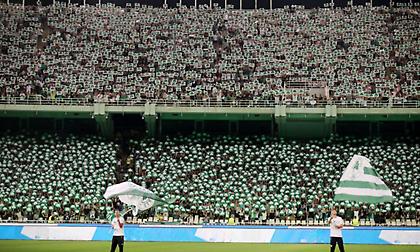 Γέμισε ο κόσμος... τριφύλλια: Μαγική ατμόσφαιρα στο κατάμεστο ΟΑΚΑ από τους φίλους του Παναθηναϊκού!