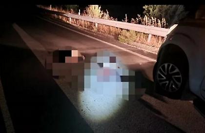 Δύο αρκουδάκια νεκρά σε τροχαίο στο δρόμο Φλώρινας – Πτολεμαΐδας