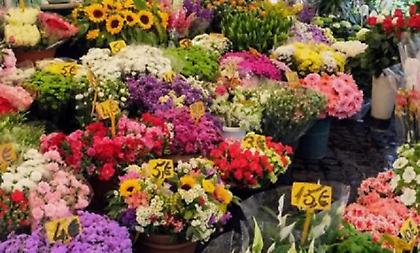 Εορτολόγιο 31 Αυγούστου: Ποια γιορτή είναι σήμερα