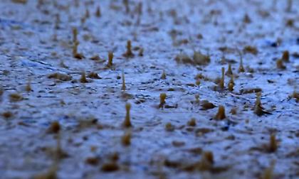 Καιρός σήμερα: Τοπικές βροχές και καταιγίδες με θερμοκρασία έως τους 34 βαθμούς