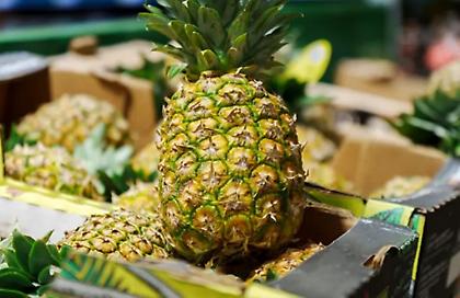 Νέα τρέλα στην Ισπανία: Πώς η «μανία με τον ανανά» βοηθάει στην αναζήτηση συντρόφου στα σούπερ μάρκετ