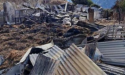 Απίστευτο: Κεραυνός στην Αιτωλοακαρνανία σκότωσε ακαριαία 150 ζώα σε κτηνοτροφική μονάδα!