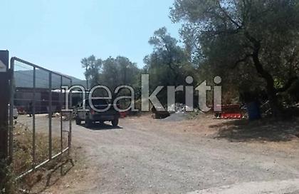 Πιθανόν κτηματικές διαφορές πίσω από την κτηνωδία στο Ρέθυμνο - Είχαν επιτεθεί και στον γιο του κτηνοτρόφου