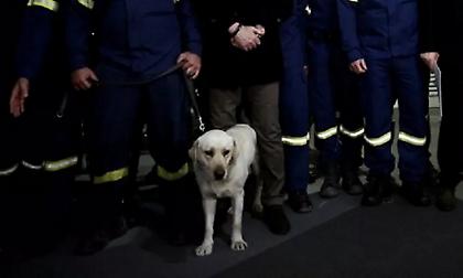 Επιχείρηση της ΕΜΑΚ στον Όλυμπο για τον εντοπισμό 2 ατόμων