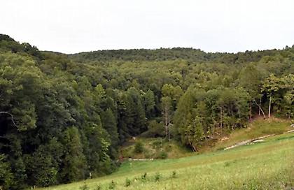 Tρόμος στο Κεντάκι για τον ένοπλο που παραμένει ασύλληπτος - Τρίτη μέρα ανθρωποκυνηγητού στα δάση της περιοχής