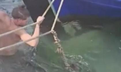 Καρέτα καρέτα διέκοψε... γυρίσματα ταινίας ερωτικού περιεχομένου, δαγκώνοντας τον πρωταγωνιστή!