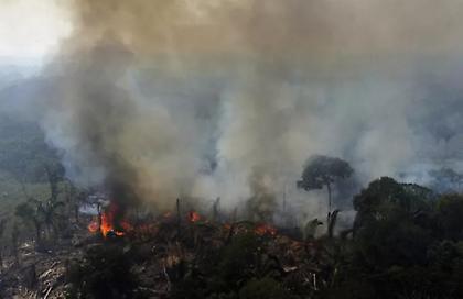 Φλέγεται η Λατινική Αμερική - Αντιμέτωπη με τον μεγαλύτερο αριθμό πυρκαγιών που έχει καταγραφεί ποτέ