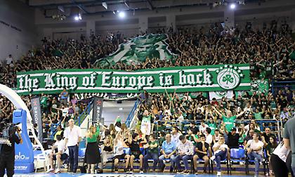 «Ο βασιλιάς της Ευρώπης επέστρεψε»: Το εντυπωσιακό κορεό των φίλων του Παναθηναϊκού στην Κύπρο!