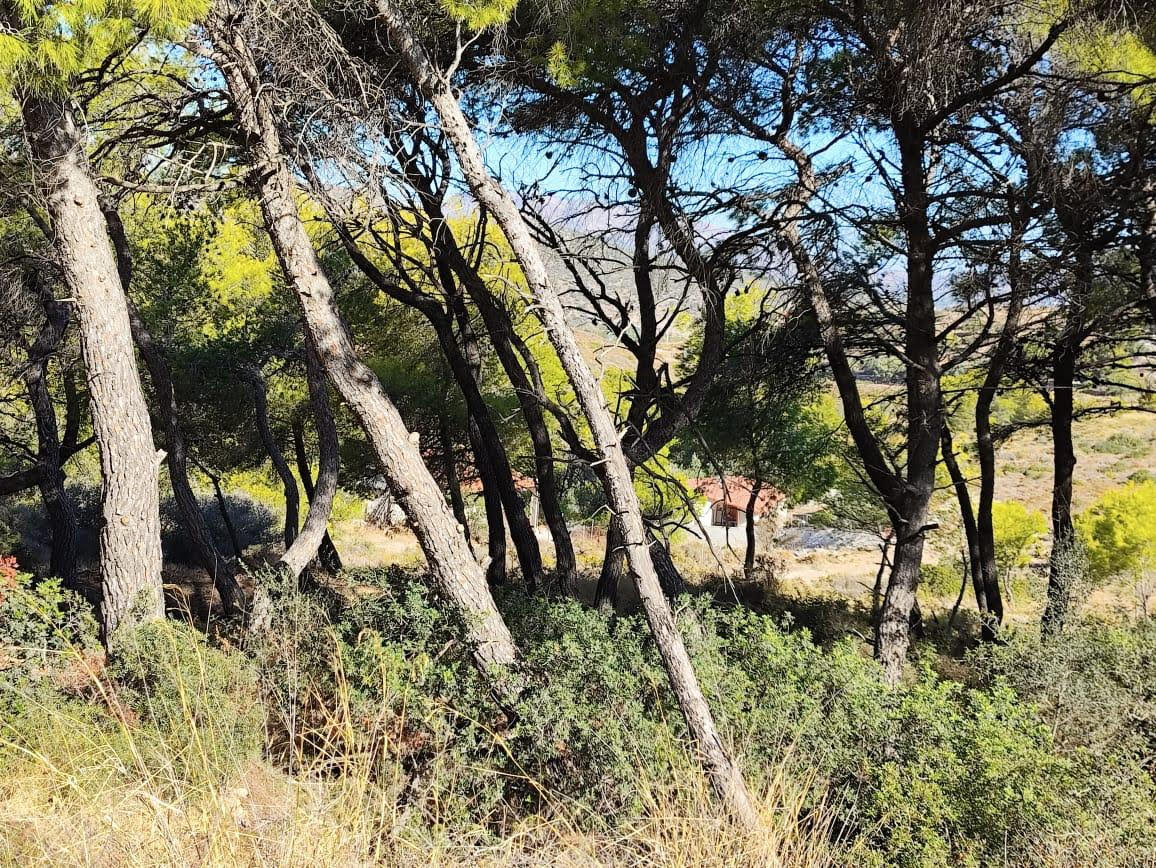 Συνελήφθη ο παλαιοχριστιανός της Κορινθίας που άρπαξε το μωρό του και εξαφανίστηκε