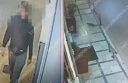 Βόλος: Συνελήφθη ο άντρας που σκότωνε αδέσποτα ζώα κατά συρροή