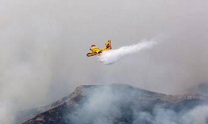 Πυρκαγιά στην Νέα Μανωλάδα Ηλείας