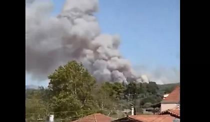 Μαίνεται η φωτιά στο Γεράκι Αμαλιάδας: Τραυματίστηκε σοβαρά πυροσβέστης - Οι φλόγες έφτασαν στους οικισμούς