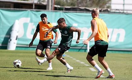 Χωρίς 10 και σε δύο γκρουπ η προπόνηση του Παναθηναϊκού