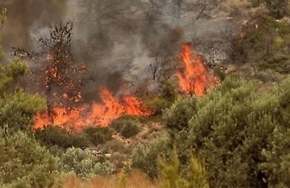Συνελήφθη άνδρας ως υπαίτιος της πυρκαγιάς στον Διόνυσο Κερατέας