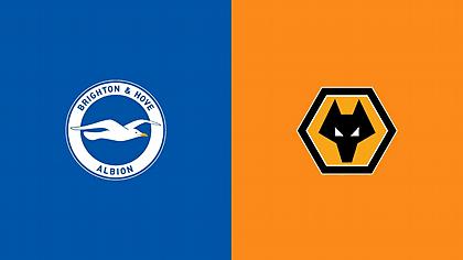 Μπράιτον-Γουλβς