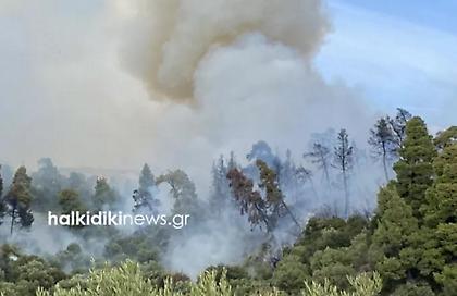 Μεγάλη φωτιά στη Σιθωνία Χαλκιδικής, κοντά σε σπίτια - Μήνυμα για εκκένωση από το 112
