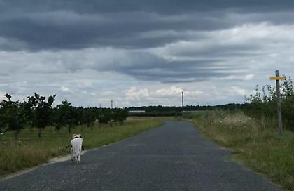 Καιρός: Θερμοκρασίες έως 24 βαθμούς και άνεμοι 7 μποφόρ – Αναλυτική πρόγνωση
