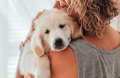 Απίστευτη τραγωδία στο Ηράκλειο: Ηλικιωμένη πήγε να παίξει με το σκύλο της, σκόνταψε, έπεσε και σκοτώθηκε