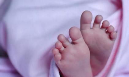 Ραγδαίες εξελίξεις για τα νεκρά βρέφη στην Αμαλιάδα: Στο ανθρωποκτονιών η έρευνα