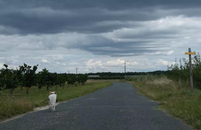 Ο καιρός τη Δευτέρα 11/11/2024