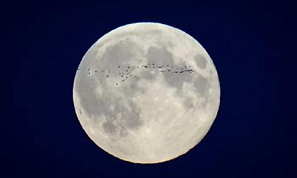 Νέα θεωρία για την προέλευση της Σελήνης - Τι υποστηρίζουν επιστήμονες