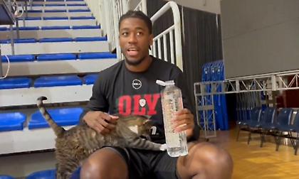 «Τι και αν είμαστε μια αγέλη πεινασμένων σκυλιών»: Επικό βίντεο από την ΚΑΕ Ολυμπιακός με... γουρλίδικα γατιά!