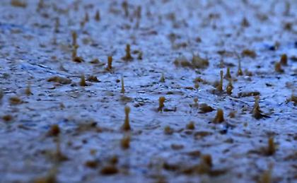 Σε εξέλιξη ο «Αλέξανδρος» - Πού καταγράφηκαν τα μεγαλύτερα ύψη βροχόπτωσης