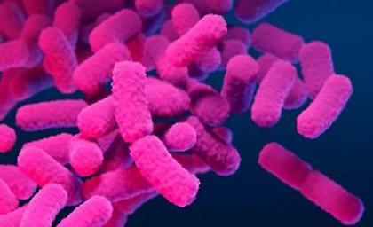 Τα 8 πιο επικίνδυνα βακτήρια στον κόσμο