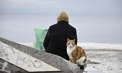 Καιρός: Μικρή άνοδος θερμοκρασίας