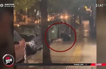 Άνδρας αποκεφαλίζει γάτα σε πεζοδρόμιο της Κυψέλης - Σοκαριστικό video