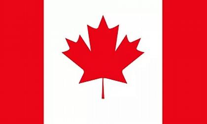 Καναδάς: Σχεδόν 50.000 νεκροί εξαιτίας της κρίσης των οπιοειδών από το 2016