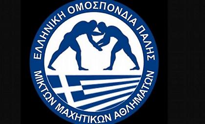 Συγκροτήθηκε σε σώμα το ΔΣ της Ελληνικής Ομοσπονδίας Πάλης