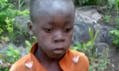 Ένας... Ταρζάν 8 ετών στη Ζιμπάμπουε: Επιβίωσε μόνος του για 5 ημέρες σε πάρκο με λιοντάρια