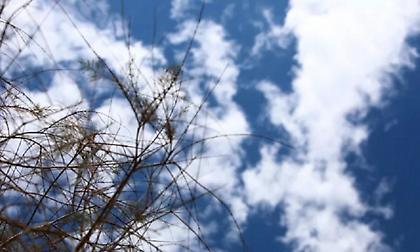 Αίθριος ο καιρός με λίγη συννεφιά σήμερα δεύτερη μέρα του χρόνου - Σε ποιες περιοχές αναμένονται βροχές