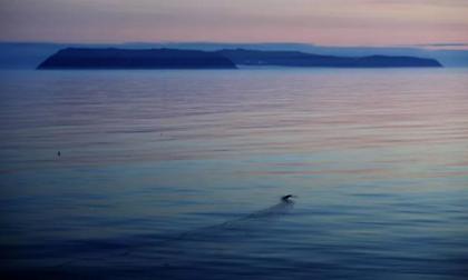 Ο Μπάιντεν λαμβάνει ένα τελευταίο μείζον μέτρο υπέρ του περιβάλλοντος και εναντίον του Τραμπ