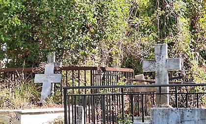 Αγριογούρουνα ξεθάβουν τους νεκρούς σε νεκροταφείο της Λευκάδας - Αναστατωμένοι οι κάτοικοι