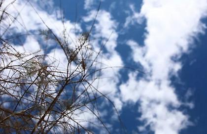 Καιρός: Συννεφιά και κατά τόπους βροχές-Στους 19 βαθμούς η θερμοκρασία