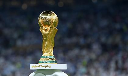 Αδιανόητο: Το Μαρόκο θα θανατώσει 3.000.000 αδέσπoτα σκυλιά ενόψει του Μουντιάλ του 2030