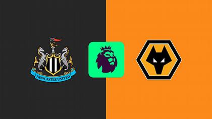 Νιούκαστλ-Γουλβς