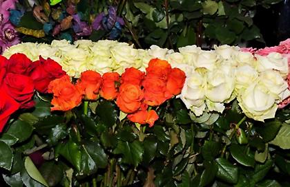 Εορτολόγιο: Ποιοι γιορτάζουν σήμερα, 23 Ιανουαρίου