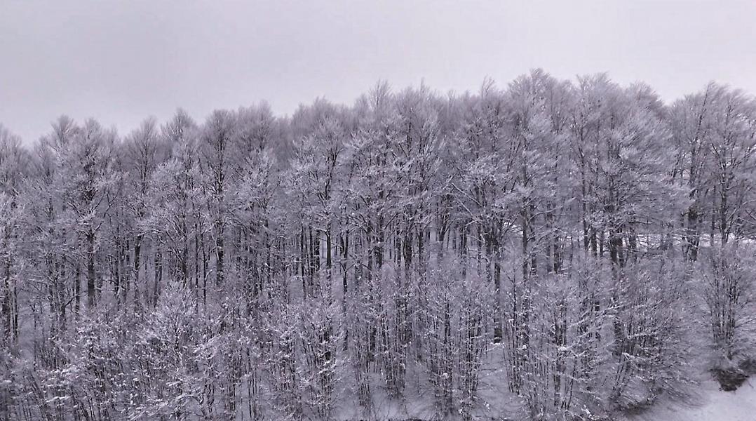 Όπου Υπάρχει Ελλάδα: Από τη Βίγλα Πισοδερίου στους Χειμερινούς Ολυμπιακούς Αγώνες